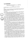 Vista preliminar de documento rgm17298