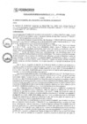 Vista preliminar de documento rgm17300
