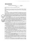 Vista preliminar de documento rgm17302