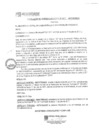 Vista preliminar de documento rgm17304