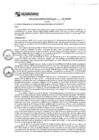 Vista preliminar de documento rgm17516