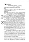 Vista preliminar de documento rgm17514