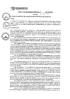 Vista preliminar de documento rgm17508