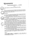 Vista preliminar de documento rgm17511