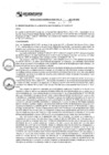 Vista preliminar de documento rgm17518
