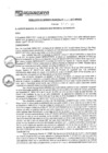 Vista preliminar de documento rgm17520