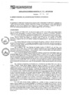 Vista preliminar de documento rgm17523