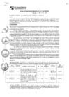 Vista preliminar de documento rgm17531