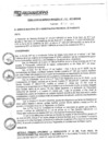 Vista preliminar de documento rgm17525
