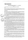 Vista preliminar de documento rgm17558