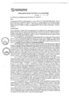 Vista preliminar de documento rgm17562
