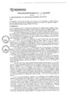Vista preliminar de documento rgm17563