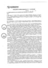 Vista preliminar de documento rgm17564