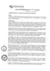 Vista preliminar de documento rgm19695