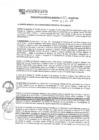 Vista preliminar de documento rgm19709