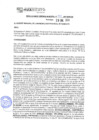 Vista preliminar de documento rgm20061