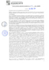 Vista preliminar de documento rgm20154
