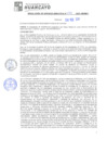 Vista preliminar de documento rgm20153