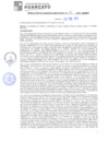 Vista preliminar de documento rgm20155
