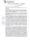 Vista preliminar de documento rgm20157