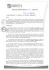 Vista preliminar de documento rgm20169
