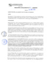 Vista preliminar de documento rgm20171