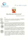 Vista preliminar de documento RD N° 261-08-2018-HCLLH-SA