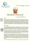Vista preliminar de documento RD N° 263-08-2018-HCLLH-SA