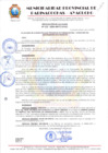 Vista preliminar de documento RESOLUCION DE ALCALDIA Nº 456