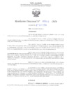Vista preliminar de documento RD N° 515