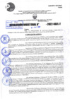 Vista preliminar de documento R.D 0924-2022