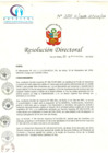 Vista preliminar de documento RD N° 355-11-2018-HCLLH-SA