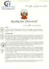 Vista preliminar de documento RD N° 359-11-2018-HCLLH-SA