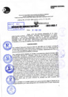 Vista preliminar de documento R.D 0952-2022