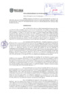 Vista preliminar de documento rgm_139_2024