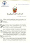 Vista preliminar de documento RD N° 395-12-2018-HCLLH-SA