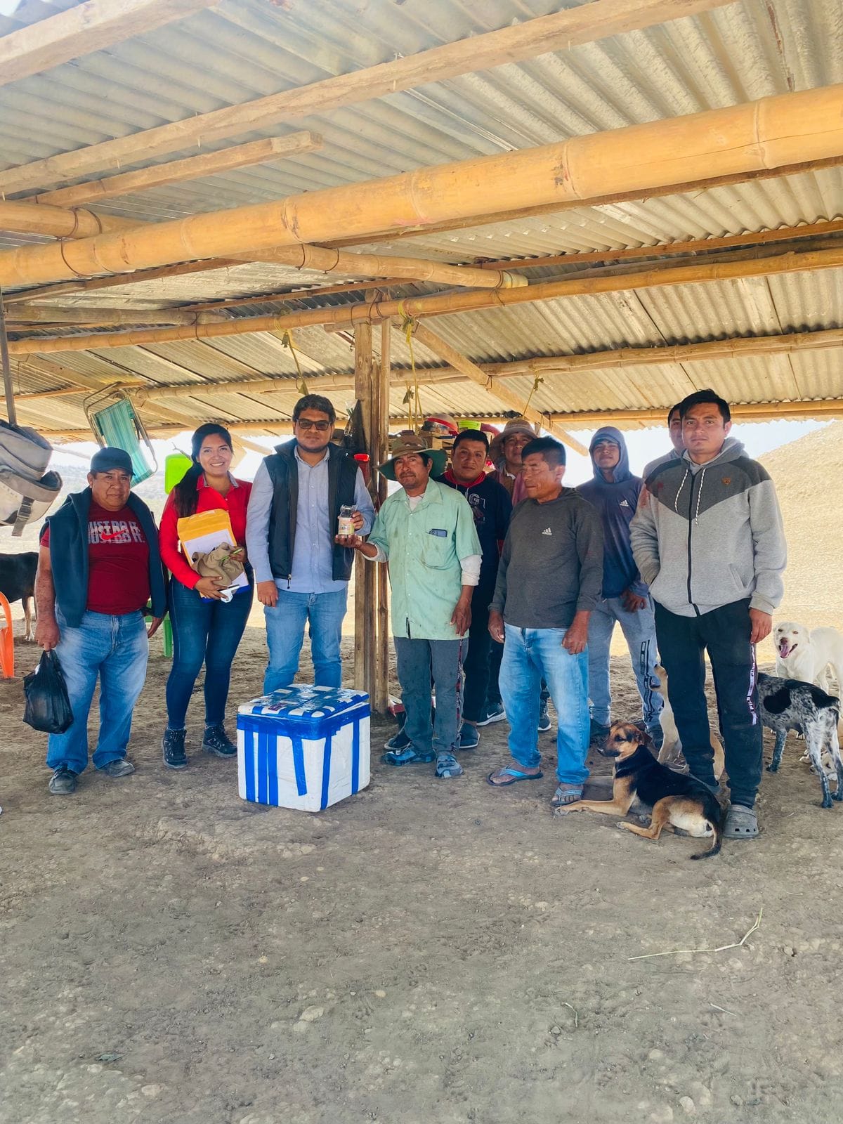 La Municipalidad Provincial de Sullana, en coordinación con la Municipalidad Distrital de Ignacio Escudero, llevó a cabo la quinta campaña de vacunación de ganado caprino en los caseríos “Los Tres Pocitos” y “Hualtacal”, durante los días 5 y 6 de agosto, con el objetivo de inmunizar a más de 3 mil cabezas de ganado caprino y mejorar la calidad de vida de los productores locales.
Esta importante campaña, encabezada por la Municipalidad Provincial de Sullana y realizada en alianza con la Municipalidad Distrital de Ignacio Escudero, la Mesa Técnica Provincial de Ganado Caprino, el Instituto Nacional de Innovación Agraria (INIA), SENASA, la Dirección Regional de Agricultura a través de la Agencia Agraria del Chira y el PIP Ganadero, logró inmunizar a más de 3 mil cabezas de ganado caprino con la aplicación de la Vacuna BT5, conocida por prevenir el carbunclo sintomático o pierna negra.
El subgerente de Gestión Productiva Urbano y Rural, Ing. Angelo Rafael Nuñez, destacó que esta quinta campaña se enmarca dentro de las actividades programadas por la mesa técnica de ganado caprino, cumpliendo con las directrices del alcalde Ing. Marlem Mogollón Meca.
"Gracias a las gestiones realizadas por el alcalde Marlem Mogollón y al buen trabajo de la Mesa Técnica de Ganado Caprino e instituciones aliadas se logró obtener la vacuna BT5. Esta campaña ha beneficiado a un total de 25 productores de ganado caprino de dos caseríos de Ignacio Escudero, quienes ahora podrán obtener su certificado de vacunación, facilitando la comercialización de sus productos, el acceso a créditos y asegurando un ganado libre de enfermedades”, mencionó el Ing. Angelo Nuñez.
El objetivo de estas campañas es mejorar la calidad del ganado caprino, permitiendo a los productores obtener mejores productos y un precio de mercado más favorable, en beneficio de sus familias. El subgerente de Gestión Productiva Urbano y Rural también indicó que se está culminando con las campañas de vacunación, anunciando que realizaran campañas de inseminación artificial en busca de mejoramiento genético del ganado.
