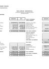 Vista preliminar de documento  Estados Financieros (al 2do. trimestre 2012) 