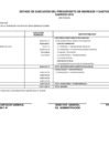 Vista preliminar de documento  Avance de la Gestión Presupuestaria a diciembre 2018 