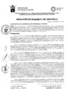 Vista preliminar de documento RA0452024MPA