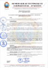 Vista preliminar de documento RESOLUCION DE ALCALDIA Nº 408