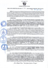 Vista preliminar de documento RDR N 233-08212024093353