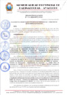 Vista preliminar de documento RESOLUCION DE ALCALDIA Nº 410