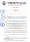 Vista preliminar de documento RESOLUCION DE ALCALDIA Nº 411