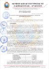 Vista preliminar de documento RESOLUCION DE ALCALDIA Nº 412