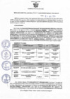 Vista preliminar de documento Resolucion 234