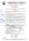 Vista preliminar de documento RESOLUCION DE ALCALDIA Nº 416