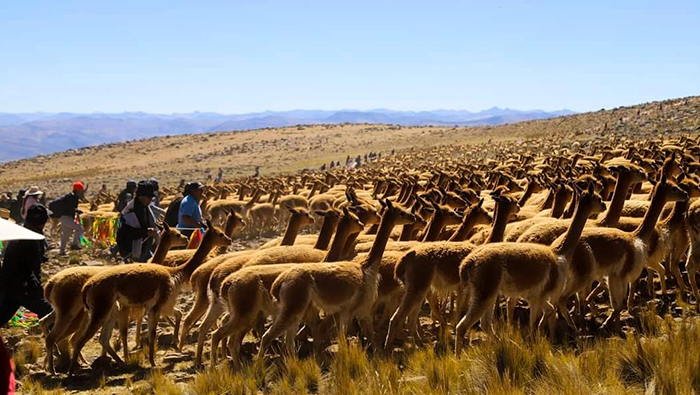 Nota de Prensa del Gobierno Regional de Huancavelica