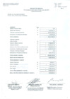 Vista preliminar de documento  Estado de gestión (junio 2011)