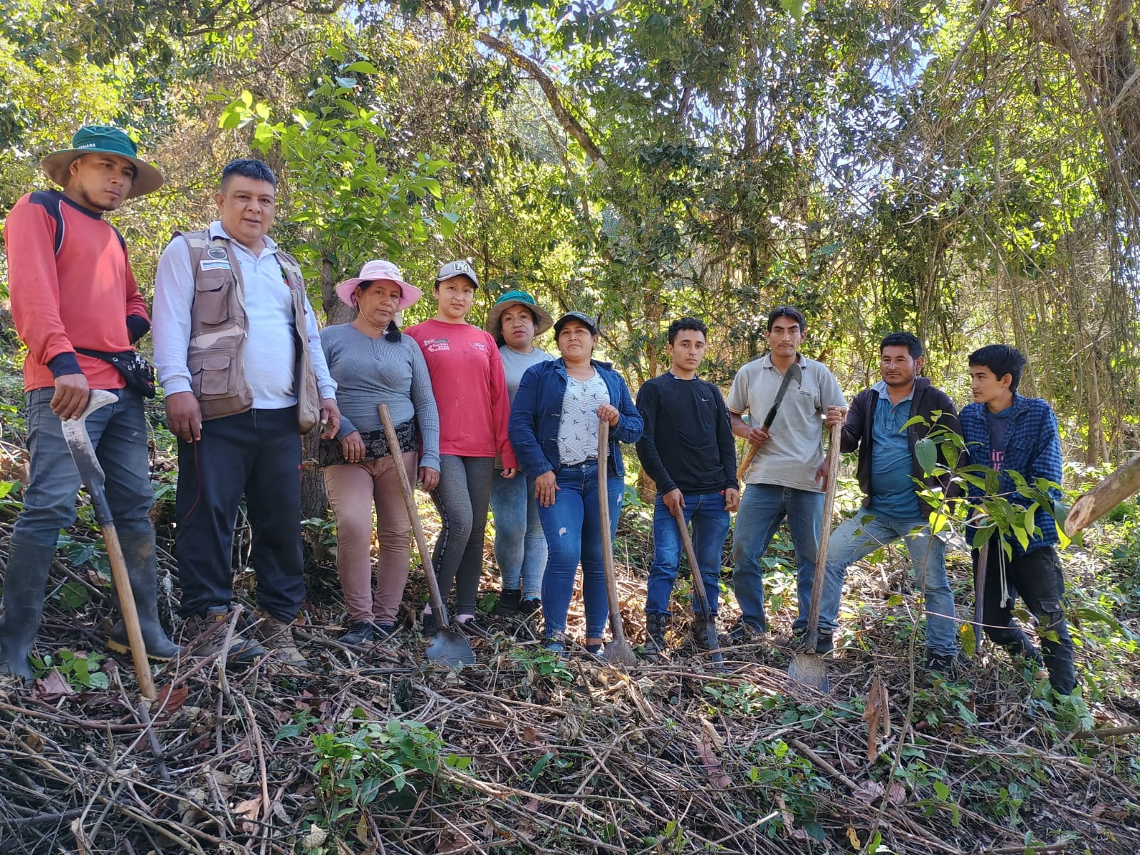 Se viene la ola verde: GORE, ANIN y cooperantes recuperarán 33 mil hectáreas de bosque en la región